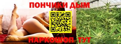индика Баксан