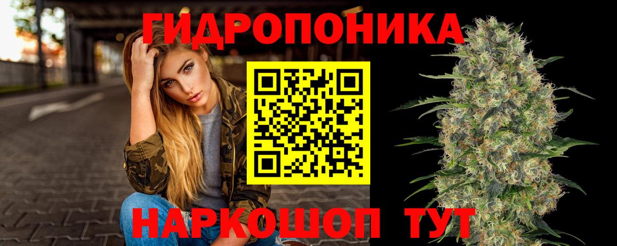 Бошки Шишки план Асино